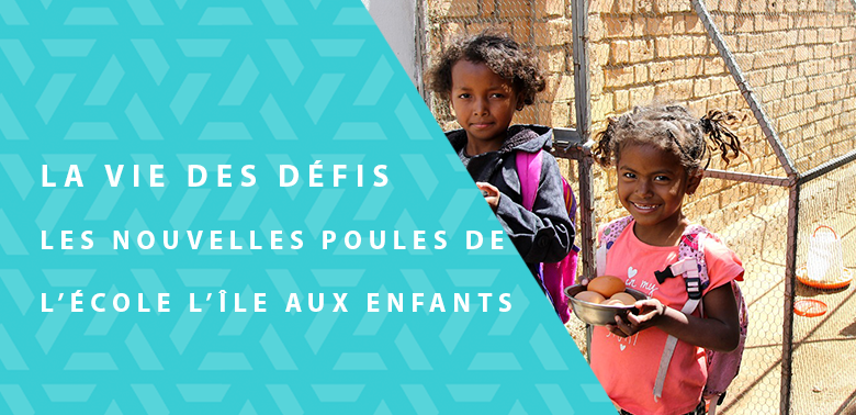 La Vie des Défis – Les nouvelles poules de l’école l’île aux enfants