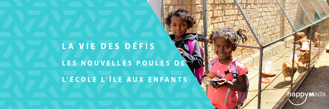 La Vie des Défis – Les nouvelles poules de l’école l’île aux enfants